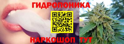 mix Кингисепп
