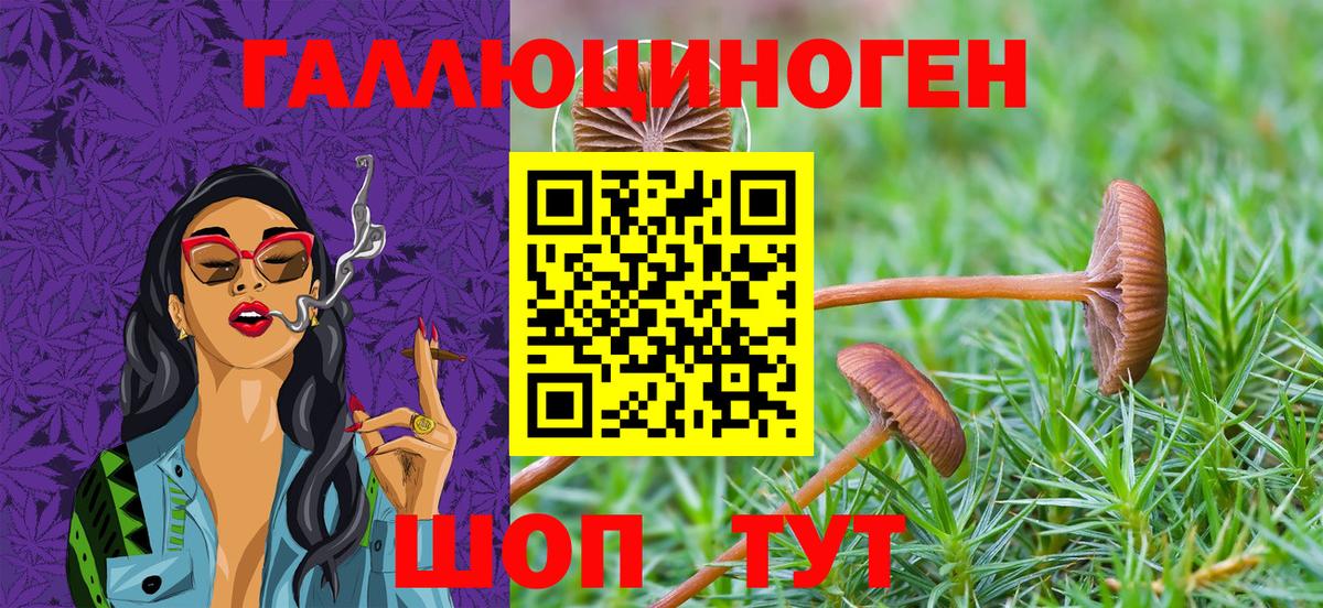 Галлюциногенные грибы Psilocybe  Вход с VPN  Острогожск 