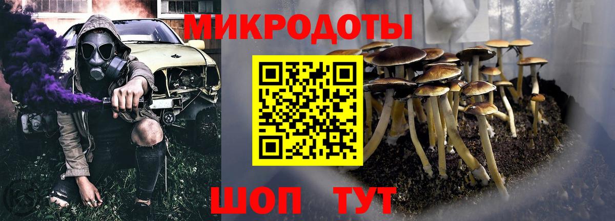 Галлюциногенные грибы Psilocybine cubensis Острогожск