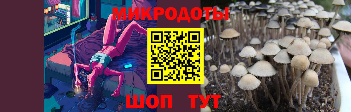 Галлюциногенные грибы Psilocybine cubensis  Галлюциногенные грибы MAGIC MUSHROOMS  Острогожск 